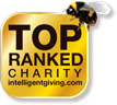 intelligent giving logo