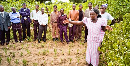 A Malawian shows farmers around her vegetable garden