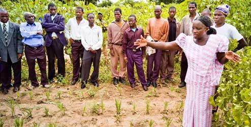 Farmer Betty Mkusa teaches others about organic farming in Malawi