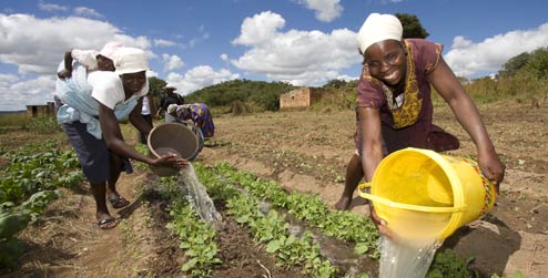 Mujeres de Wedza en Zimbabwe