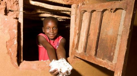 Maize 'porridge' is the staple food in ZimFast and in everyday lives for most families in Zimbabwe